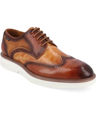 Taft 365 Model 103 Wingtip Oxford Shoes - Brown