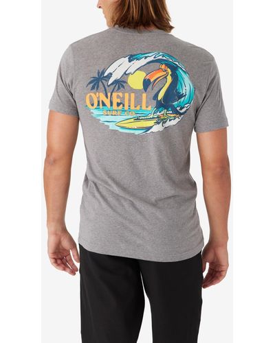 O'neill Sportswear Bird Brain T-shirt - Gray