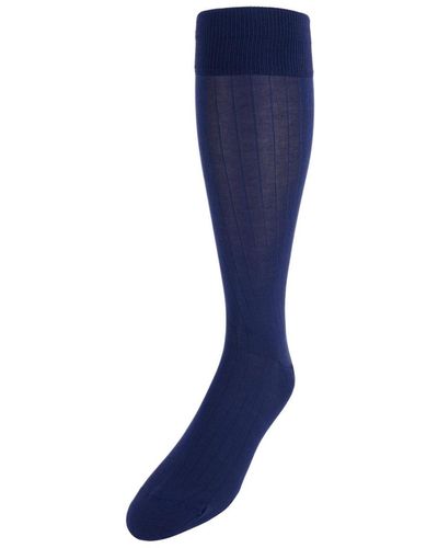 Trafalgar Jasper Ribbed Over The Calf Solid Color Mercerized Cotton Socks - Blue