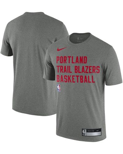 Nike Toronto Raptors 2023/24 Sideline Legend Performance Practice T-shirt - Gray