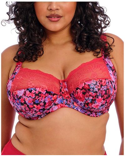 Elomi Full Figure Morgan Banded Underwire Stretch Lace Bra El4110 - Red