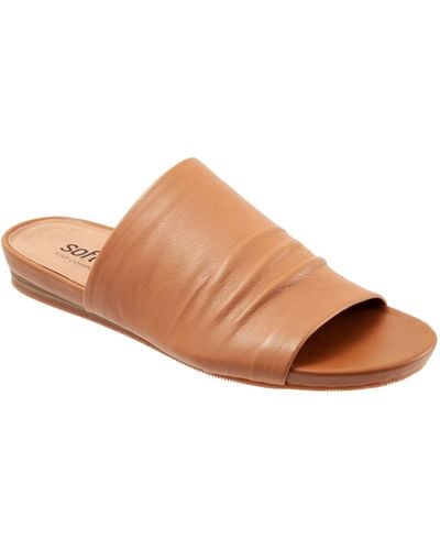 Softwalk Camano Sandals - Brown