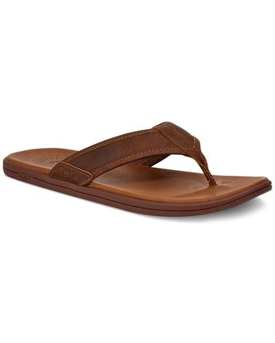 UGG Seaside Leather Lightweight Flip-flop Sandal - Brown
