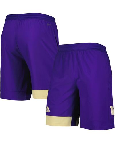 adidas Washington Huskies Training Shorts - Purple