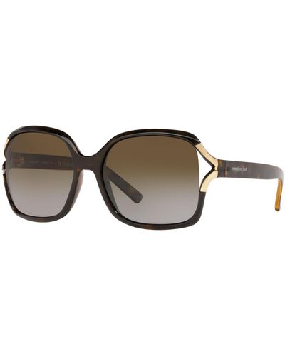 Sunglass Hut Collection Polarized Sunglasses - Brown