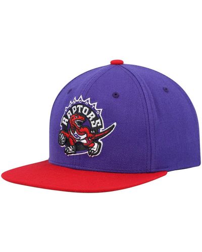 Mitchell & Ness Purple And Red Toronto Raptors Hardwood Classics Team Two-tone 2.0 Snapback Hat