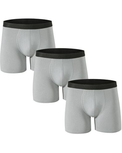 Alpine Swiss Boxer Briefs 3 Pack Underwear Breathable Comfortable Trunks - Gray