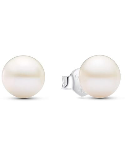 PANDORA Treated Freshwater Cultured Pearl Stud Earrings - White