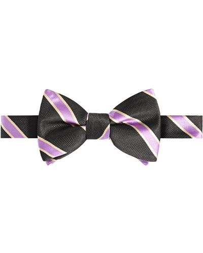 Tayion Collection Purple & Gold Stripe Bow Tie - Brown