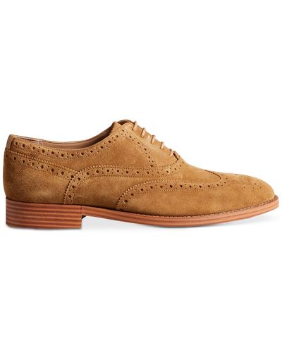 Ted Baker Ammais Wingtip Oxford Dress Shoes - Brown