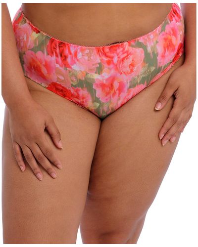 Goddess Kayla Brief Underwear Gd6168 - Pink
