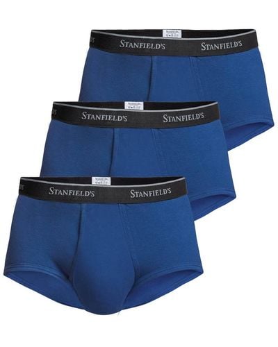 Stanfield's Premium Cotton 3 Pack Brief Underwear - Blue