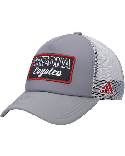 adidas Gray And White Arizona Coyotes Locker Room Foam Trucker Snapback Hat