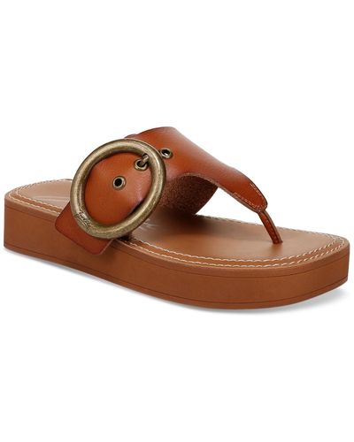 Zodiac Jadon T-strap Buckled Slip-on Sandals - Brown