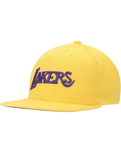Mitchell & Ness Los Angeles Lakers Hardwood Classics Tonal Snapback Hat - Metallic