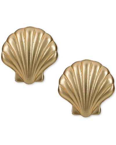 Patricia Nash Gold-tone Seashore Shell Stud Earrings - Metallic