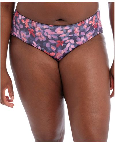 Goddess Kayla Brief Underwear Gd6168 - Purple