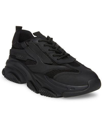 Steve Madden Possess Lace-up Sneakers - Black