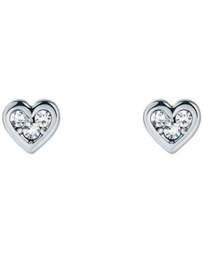 Ted Baker Neena: Crystal Small Heart Stud Earrings - White