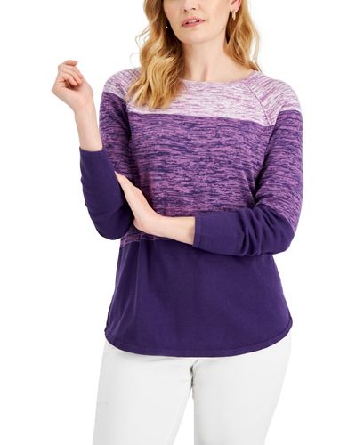 Karen Scott Cotton Colorblocked Sweater - Purple
