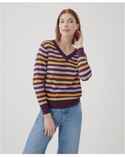 Pact Organic Cotton Classic Fine Knit V-neck Sweater - Multicolor