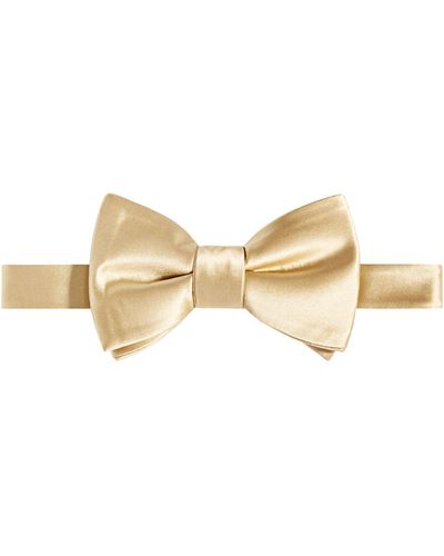 Tayion Collection Purple & Gold Solid Bow Tie - Natural
