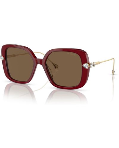 Swarovski Sunglasses Sk6011 - Brown