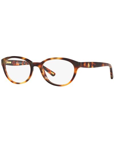 Polo Ralph Lauren Polo Prep Pp8526 Cat Eye Eyeglasses - Brown