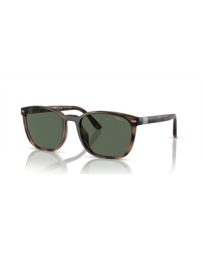 Ralph Lauren Polo Sunglasses Ph4208u - Green