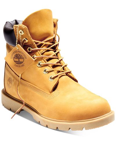 multicolor timberland boots