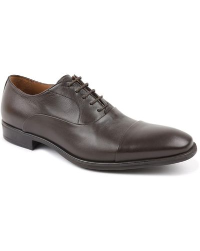 Bruno magli italo best sale oxford