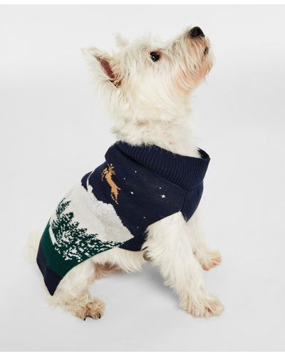 Charter Club Holiday Lane Snowy Landscape Pet Sweater - Blue