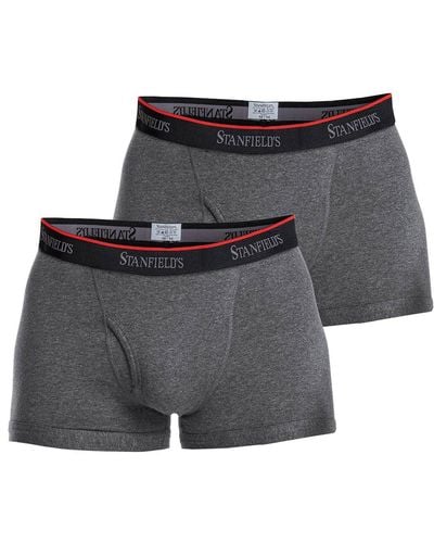 Stanfield's Cotton Stretch 2 Pack Trunk Underwear - Gray