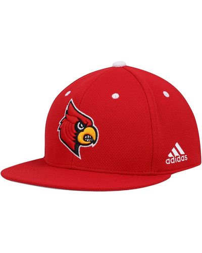 adidas Louisville Cardinals On-field Baseball Fitted Hat - Red