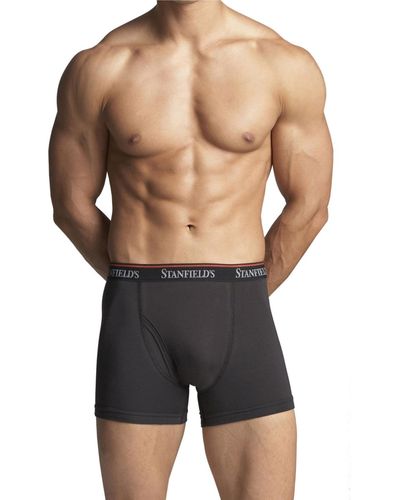 Stanfield's Cotton Stretch 2 Pack Boxer Brief Underwear - Black