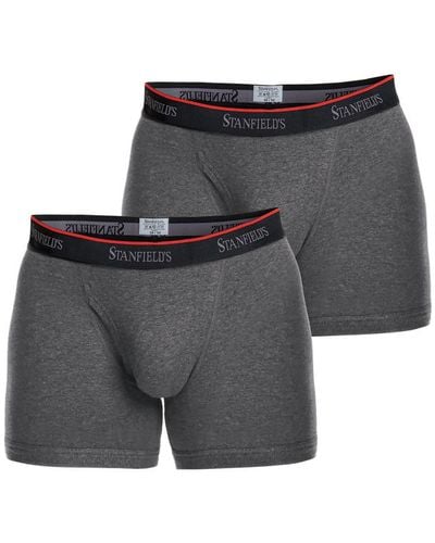 Stanfield's Cotton Stretch 2 Pack Boxer Brief Underwear - Gray