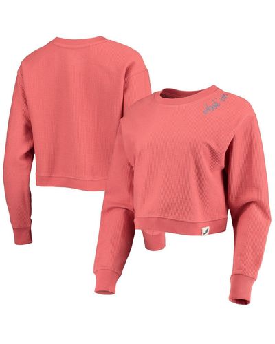 League Collegiate Wear Texas Longhorns Corded Timber Cropped Pullover Sweatshirt - Pink