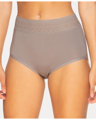 Felina Serene Modal And Lace Brief Underwear - Gray