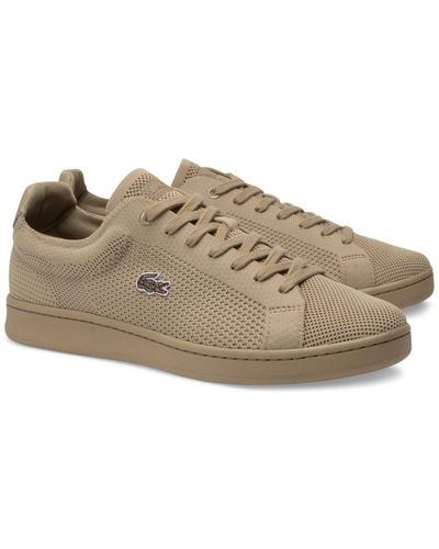 Lacoste Carnaby Piquee Sneakers - Brown