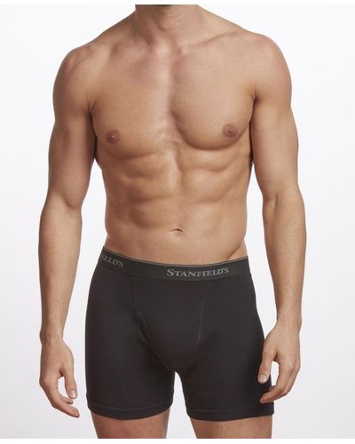 Stanfield's Premium Cotton 2 Pack Boxer Brief Underwear - Black