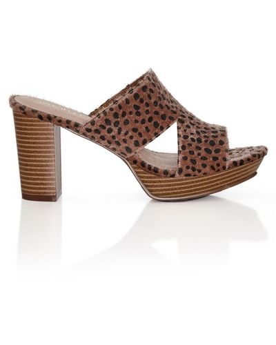 City Chic Wide Fit Remy Animal Mule - Brown