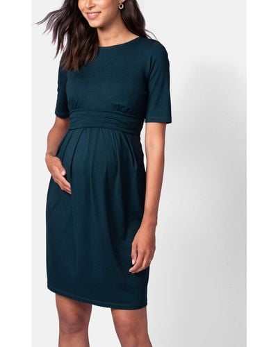 Seraphine Maternity Nursing Short Sleeve Dress - Blue