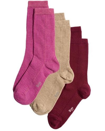 Stems Eco Conscious Cashmere Socks Box Of Three - Purple