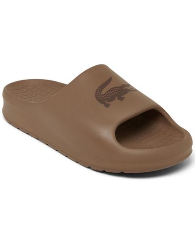 Lacoste Serve 2.0 Slide Sandals From Finish Line - Brown