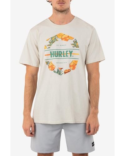 Hurley Everyday Pina Short Sleeve T-shirt - Gray