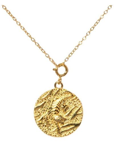Little Sky Stone 14k Plated Tiger Coin Necklace - Metallic