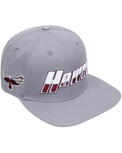 Pro Standard Maryland Eastern Shore Hawks Evergreen Hawks Snapback Hat - Gray
