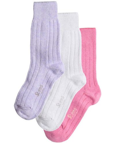 Stems Lux Cashmere Wool Socks Box Of Three - Purple