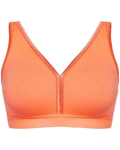 Avenue Plus Size Fashion Cotton Bra - Orange