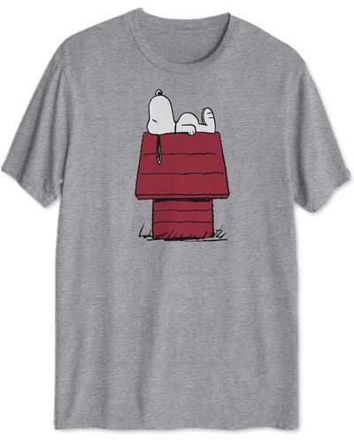 Hybrid Snoopy Doghouse Graphic T-shirt - Gray